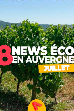 News économie Auvergne juillet